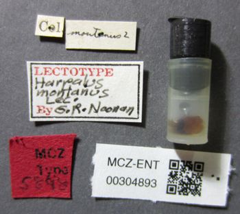 Media type: image;   Entomology 304893 Aspect: labels